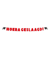 Geslaagd Letterslinger 2,5m